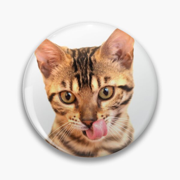 Item preview, Adorable 13 weeks old Bengal cat designed and sold by myhuskymax.