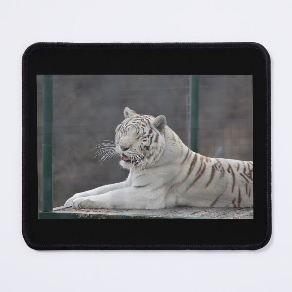 Item preview, White Tiger designed and sold by MarieDarcy97.