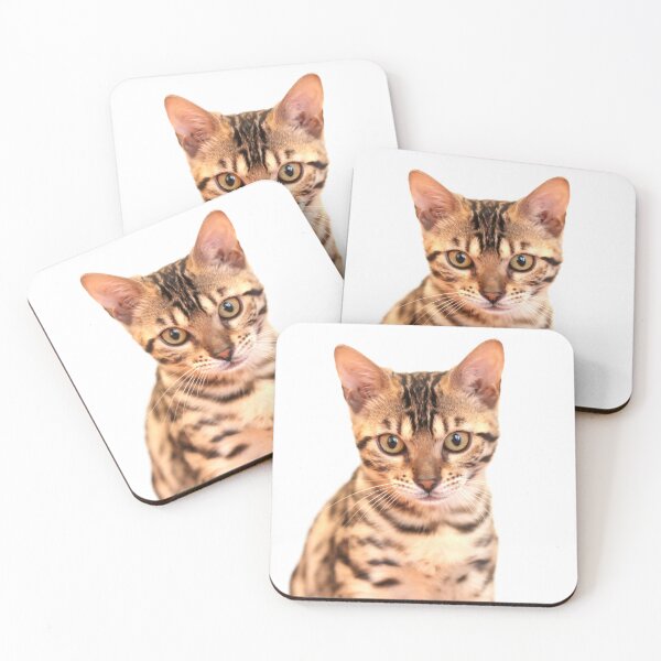Item preview, Cute 13 weeks old Bengal cat designed and sold by myhuskymax.