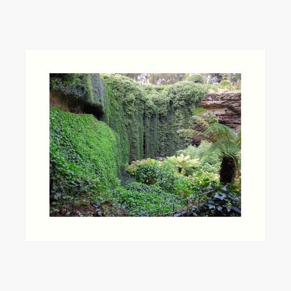Item preview, Extraordinary Garden of Mount Gambier Sinkhole  designed and sold by AussieAl.
