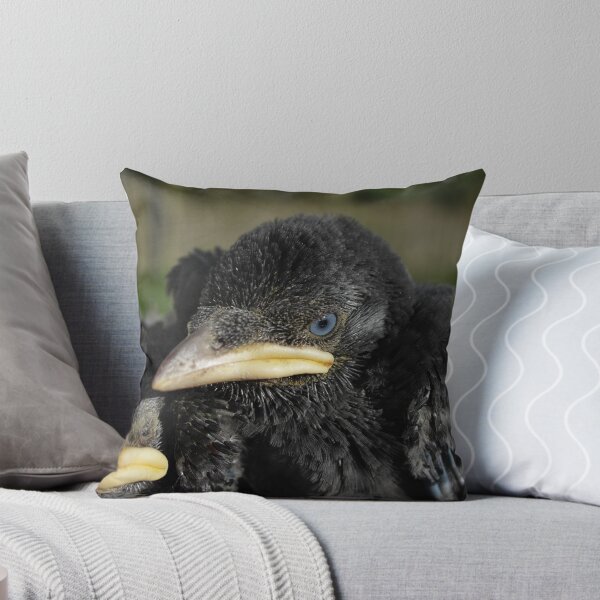 Item preview, Grumpy baby jackdaw designed and sold by manxbirdrehab.