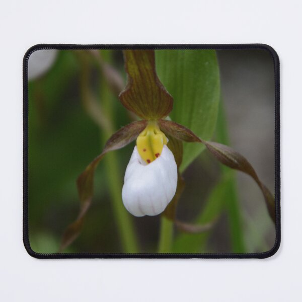 Item preview, Moccasin Flower designed and sold by Whisperingpeaks.