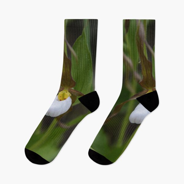Item preview, Moccasin Flower designed and sold by Whisperingpeaks.