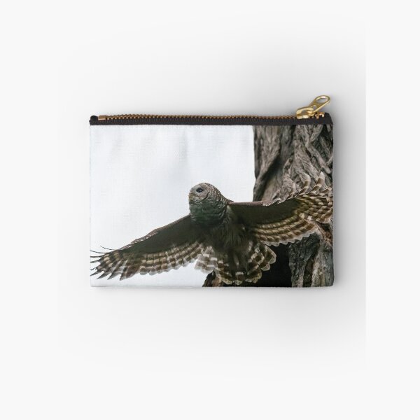 Item preview, Mama Barred owl taking to the sky designed and sold by Puttaswamy Ravishankar.