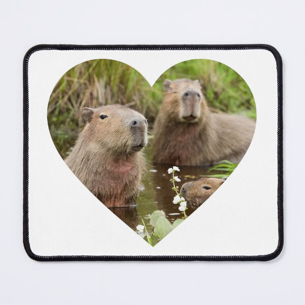 Item preview, capybara heart | I love capybara designed and sold by stickerskool.