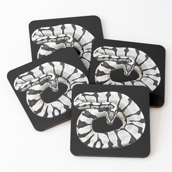 Item preview, Ball Python Desert Ghost Axanthic designed and sold by Elarex.