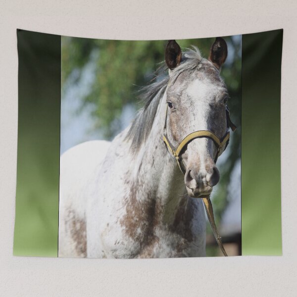Item preview, Horse - Appaloosa gelding designed and sold by Epic Splash Creations.