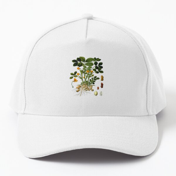 BASEBALL CAP FOR Women With Butterflies And Flowers Embroidery Adjustable  $10.79 - PicClick