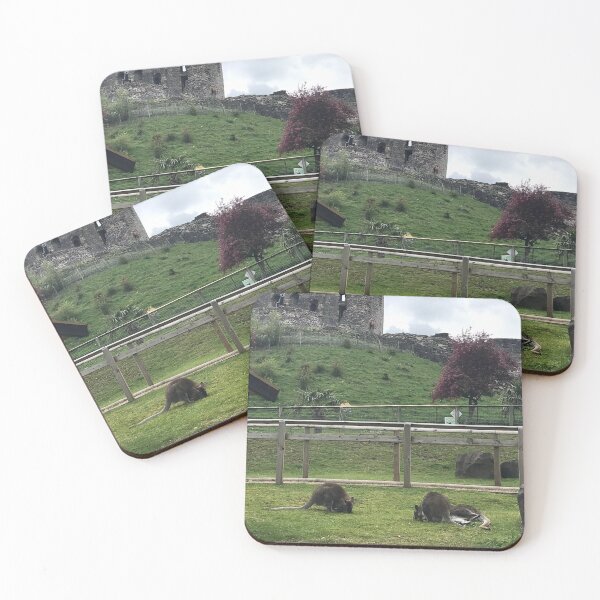 Item preview, Dudley Zoo designed and sold by SnappedbyRivka.