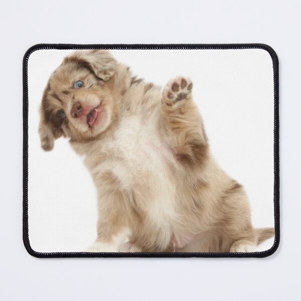 Item preview, Dog Mom Cuddling Puppy designed and sold by Black Owl Creatives.