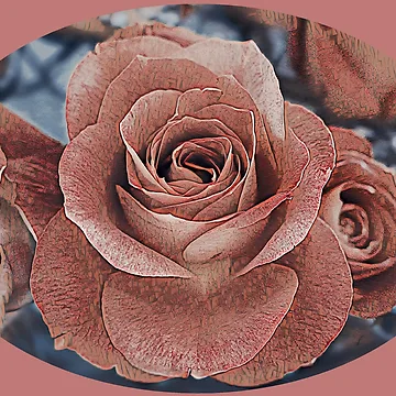 Artwork thumbnail, Oval Roses by MaryLinH