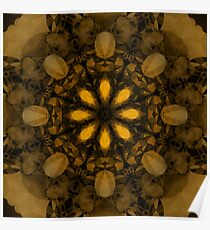 Abstract Flower Poster