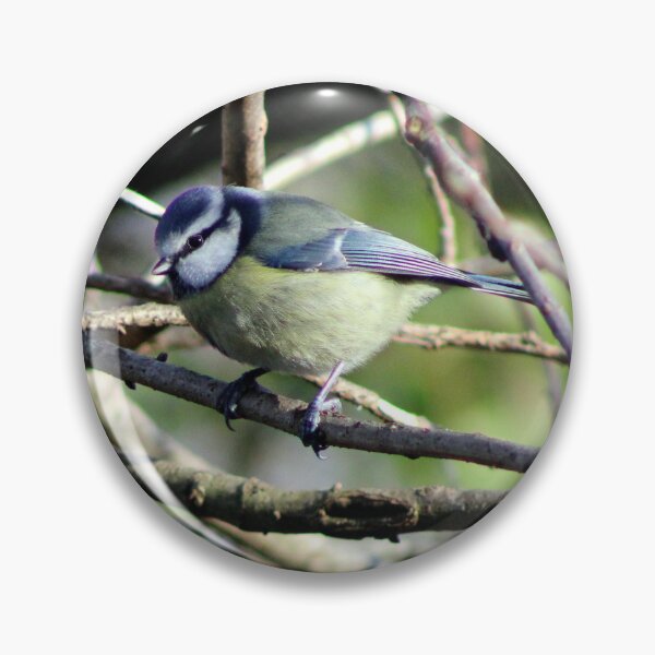 Item preview, perching designed and sold by KathleenDawson.