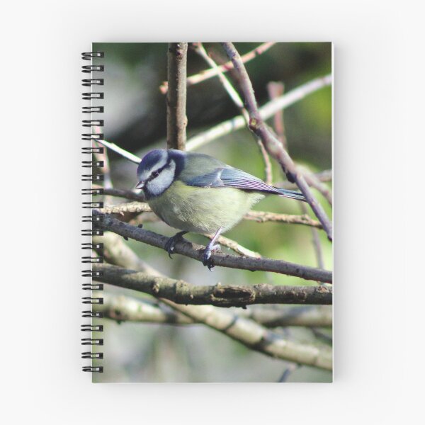 Item preview, perching designed and sold by KathleenDawson.