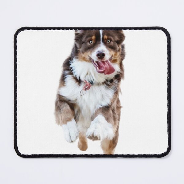 Item preview, Dog Knows Karate designed and sold by Black Owl Creatives.