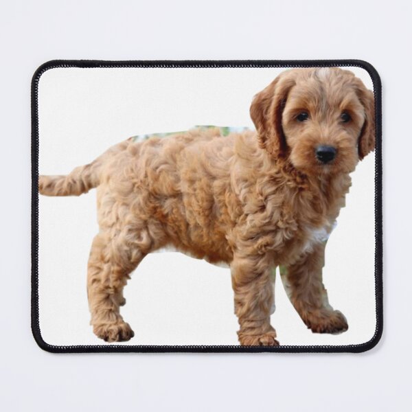 Item preview, Dog Mom Cuddling Puppy designed and sold by Black Owl Creatives.