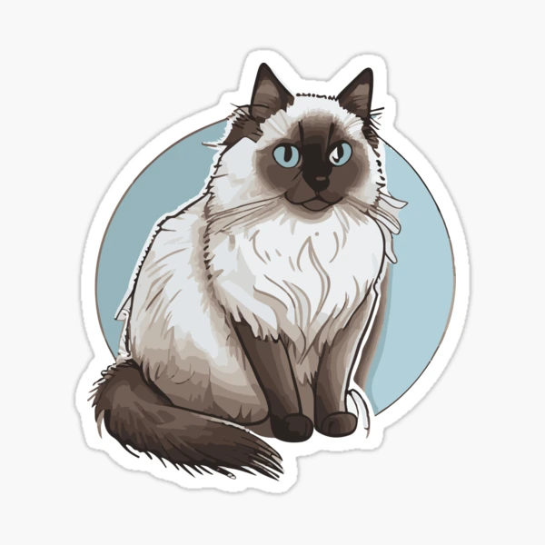 Ragdoll Cat Sticker by katdrawsit for iOS & Android