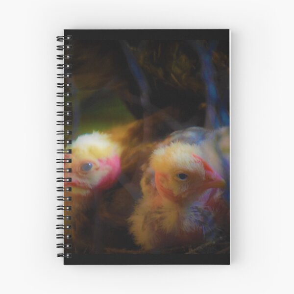 Item preview,  two chicks with scanty feathers  designed and sold by Nnone.
