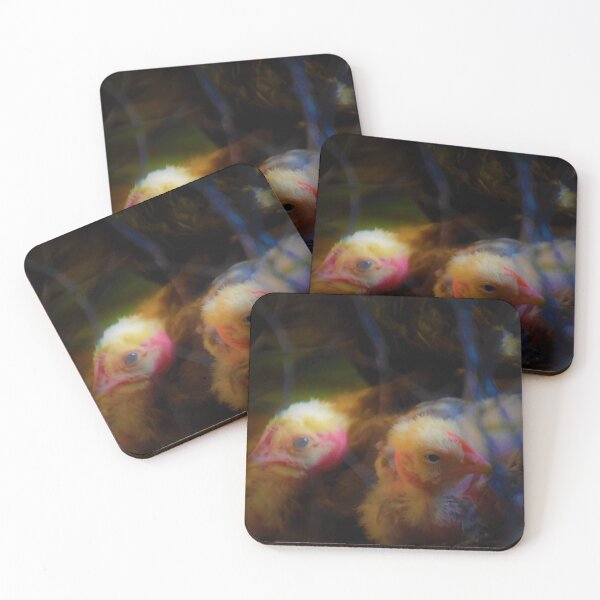 Item preview, two chicks with scanty feathers designed and sold by Nnone.