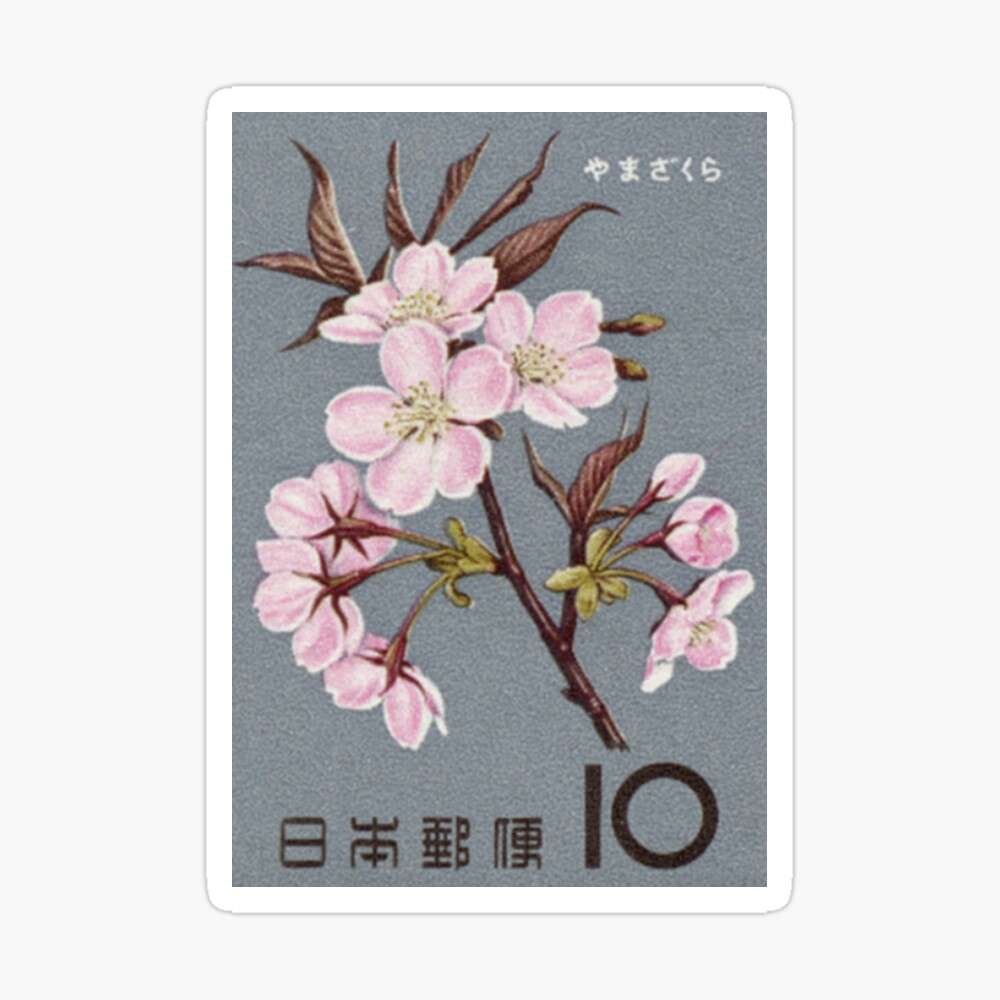 st,small,845x845-pad,1000x1000