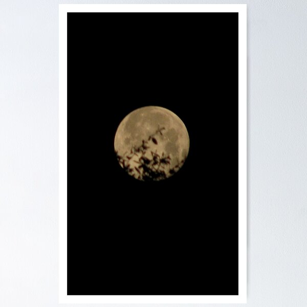 Item preview, Moon designed and sold by Kaushik Rabha.