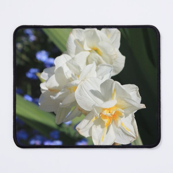 Item preview, White Narcissi designed and sold by pinkal.