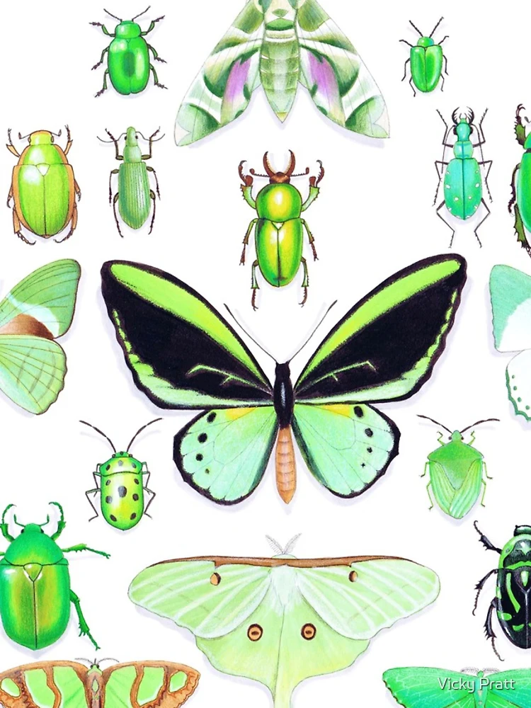 Thumbnail 5 of 5, iPhone Case, Green Insect Collection designed and sold by Vicky Pratt.
