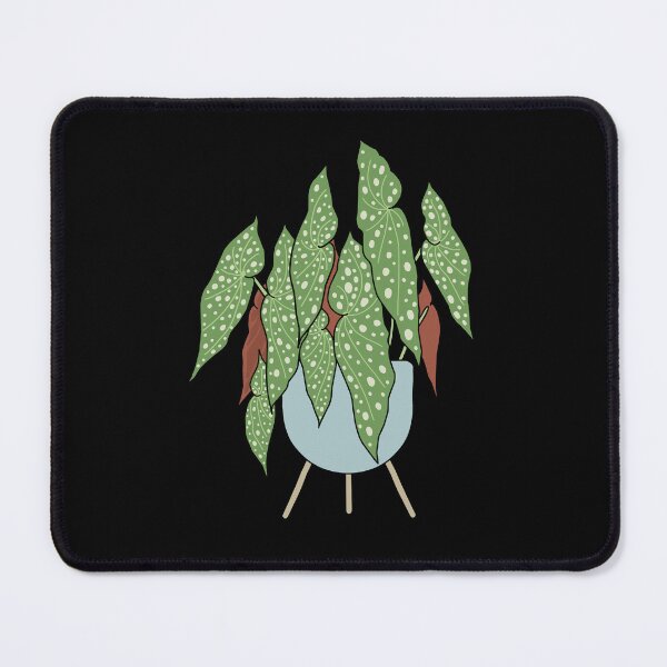 Item preview, Begonia Maculata designed and sold by TASORA.