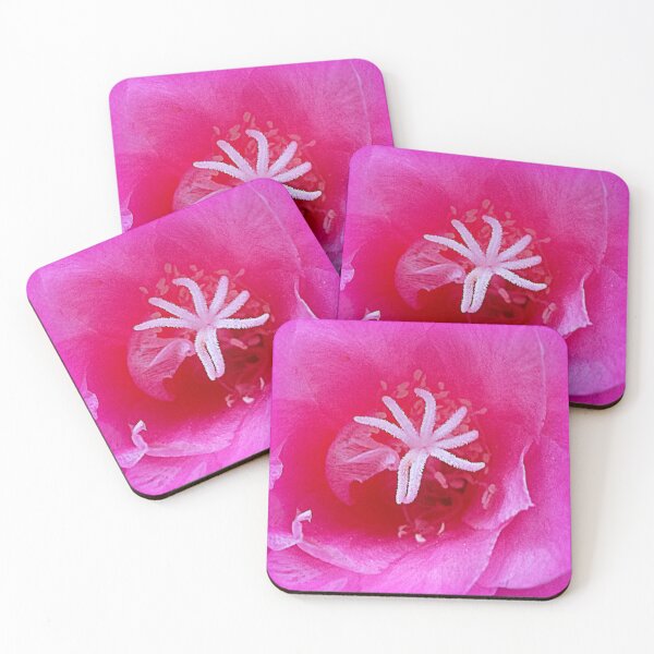 Item preview, The Aporocactus flagelliformis (rat tail cactus) designed and sold by angel1.