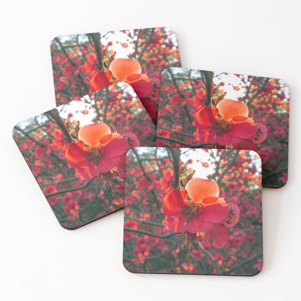 Item preview, Beautiful coral colored autumn flowers designed and sold by elcarnero.