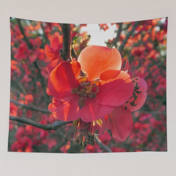 Item preview, Beautiful coral colored autumn flowers designed and sold by elcarnero.