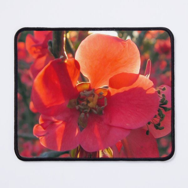 Item preview, Beautiful coral colored autumn flowers designed and sold by elcarnero.
