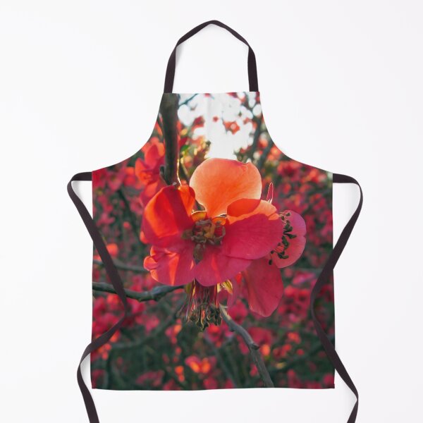 Item preview, Beautiful coral colored autumn flowers designed and sold by elcarnero.