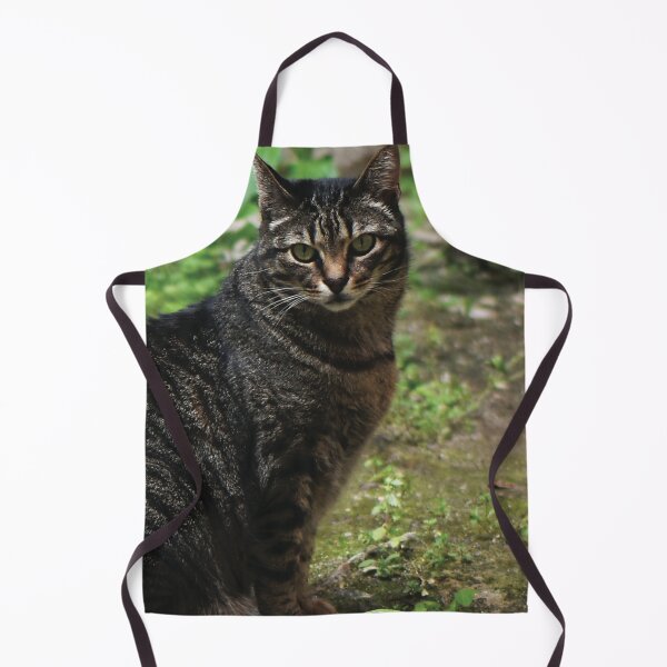 Item preview, Creso the Tabby Cat designed and sold by Nerone.