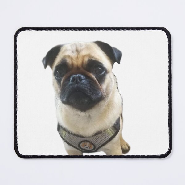 Item preview, cute pug dog designed and sold by DEMONIZATOR.