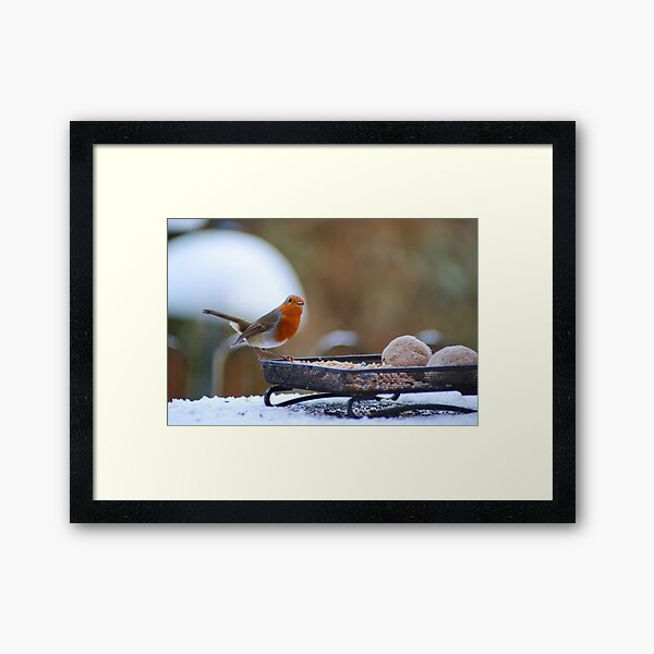 Aperçu de l'œuvre Robin Redbreast en hiver créée et vendue par MarkRame.