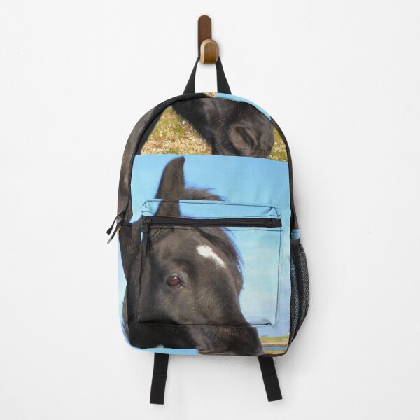 Item preview, Beautiful Horse Portrait Inishowen Donegal Ireland designed and sold by eddiebarronshop.