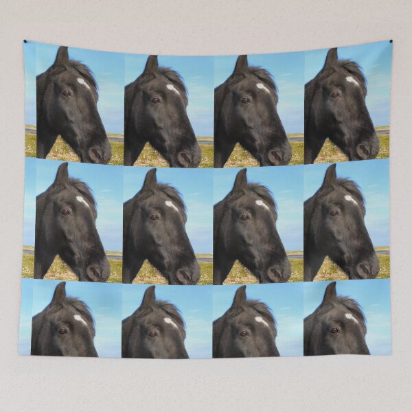 Item preview, Beautiful Horse Portrait Inishowen Donegal Ireland designed and sold by eddiebarronshop.
