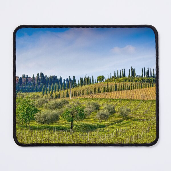Aperçu de l'œuvre Oliviers et Vignes créée et vendue par Viv Thompson Photography .