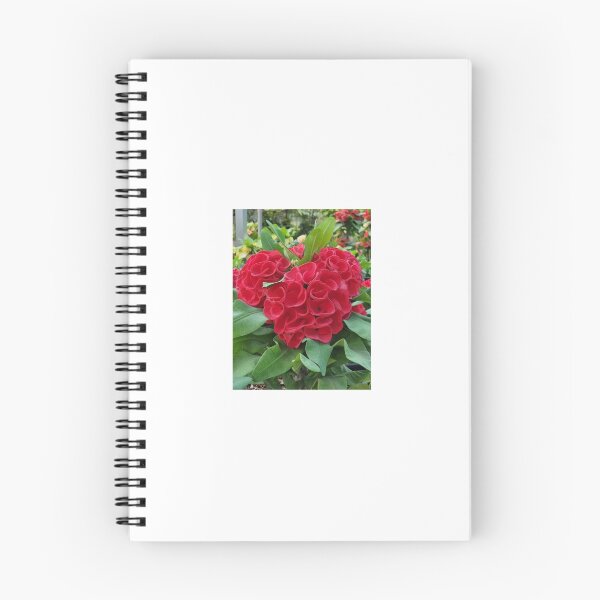 Item preview, Redflower,Suvash barman, digital,gifts designed and sold by suvashbarman.