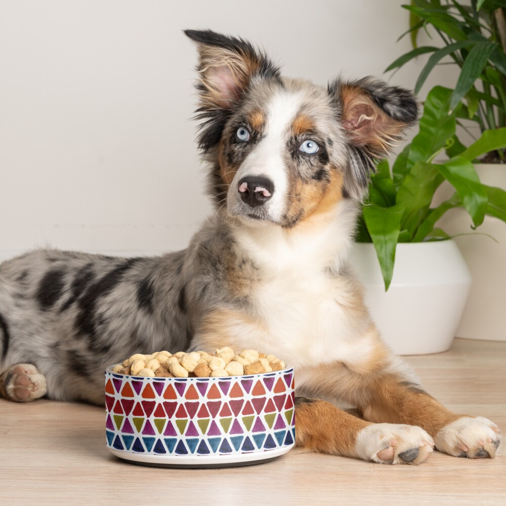 Item preview, Pet Bowl designed and sold by Helen-Houghton.