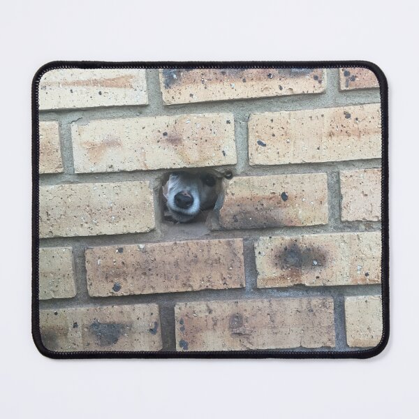 Item preview, Peek-a-boo - a dog in the wall designed and sold by DrAgonPhotos.