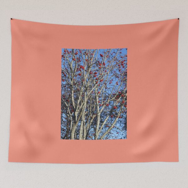 Item preview, Its The Berries Tree Blue Sky Donegal Ireland designed and sold by eddiebarronshop.