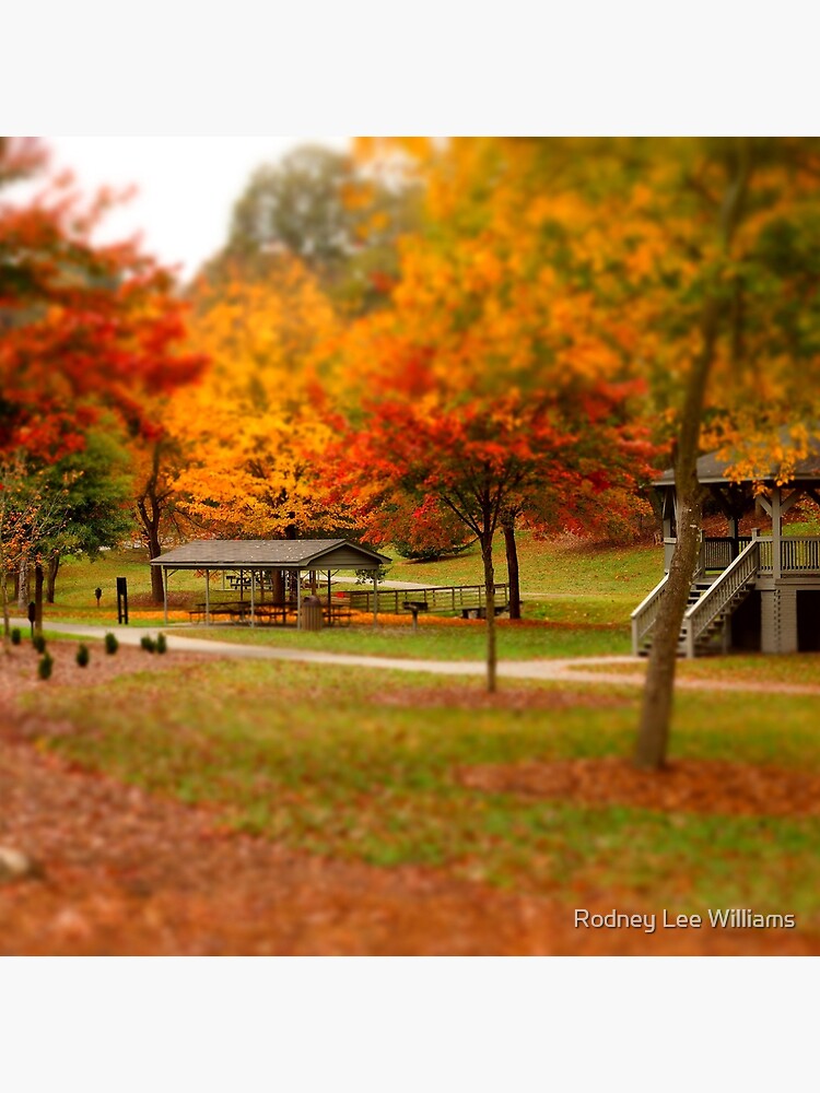 Lineberger Park 2 by Rodwilliams