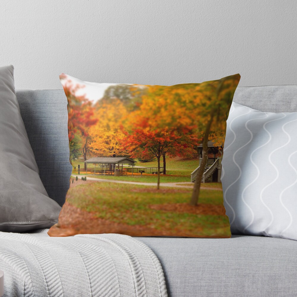 Lineberger Park 2 Throw Pillow