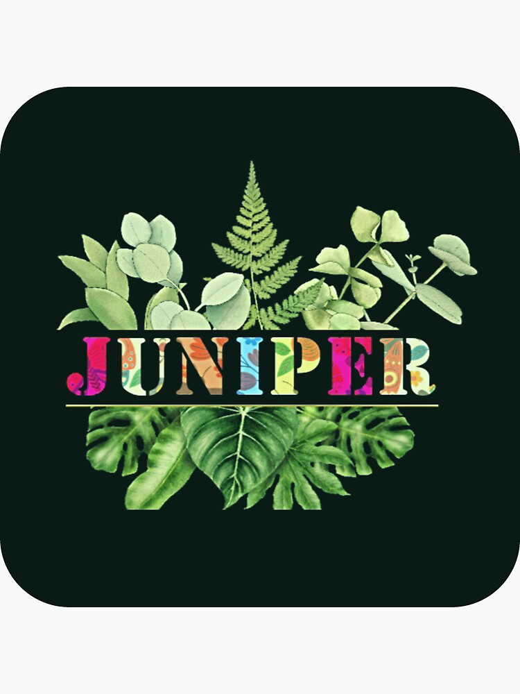 "Juniper Name" Sticker for Sale by GirlNames101 Redbubble