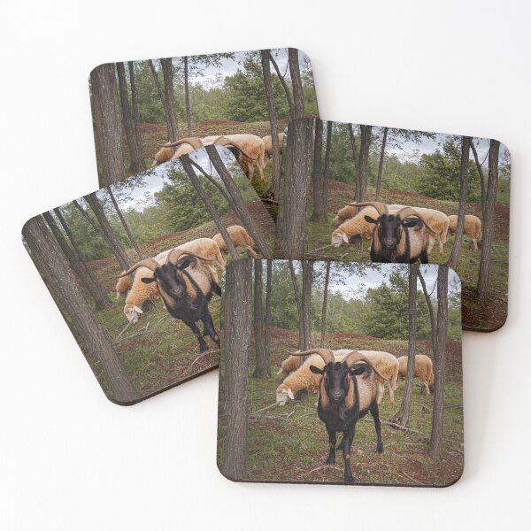 Item preview, Animas In The Woods  designed and sold by asun5.