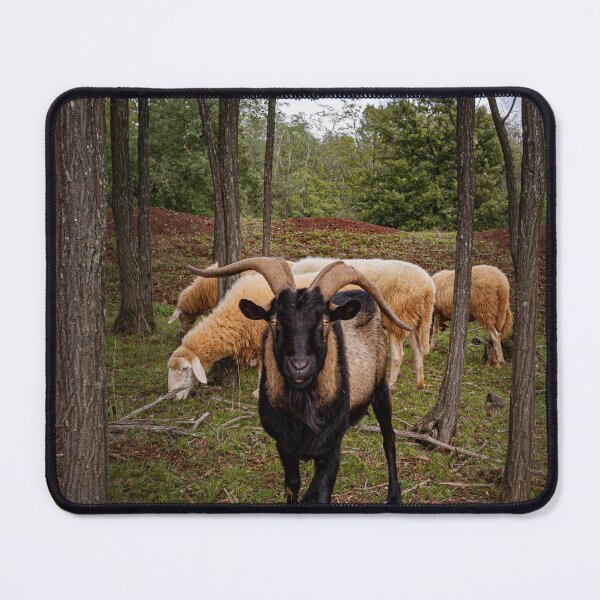 Item preview, Animas In The Woods  designed and sold by asun5.