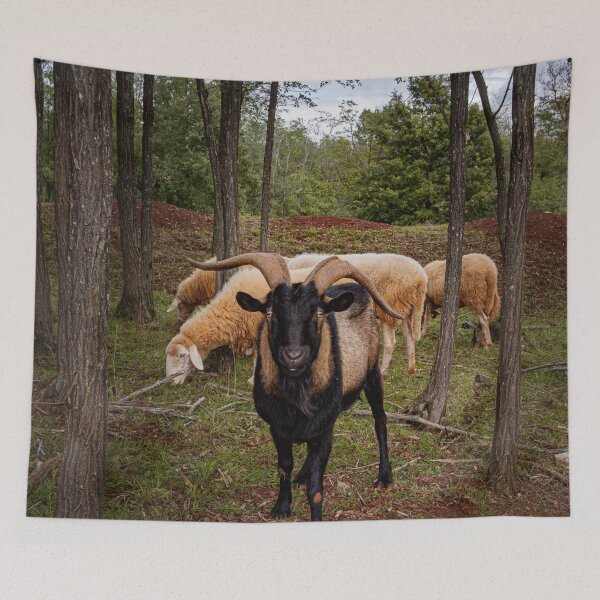Item preview, Animas In The Woods  designed and sold by asun5.