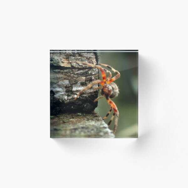 Item preview, Araña en el trabajo designed and sold by michaelasamples.
